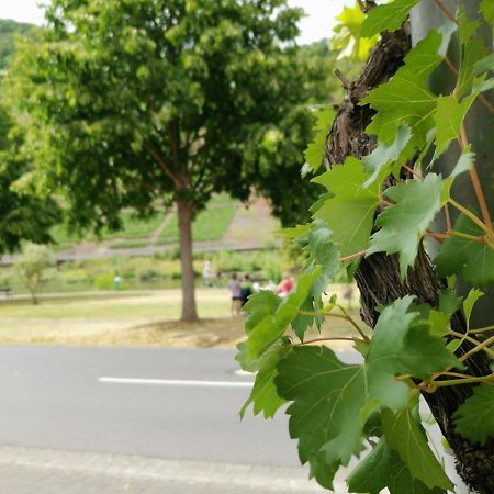 Ferienwohnung Moselblick Bruttig-Fankel Exteriör bild