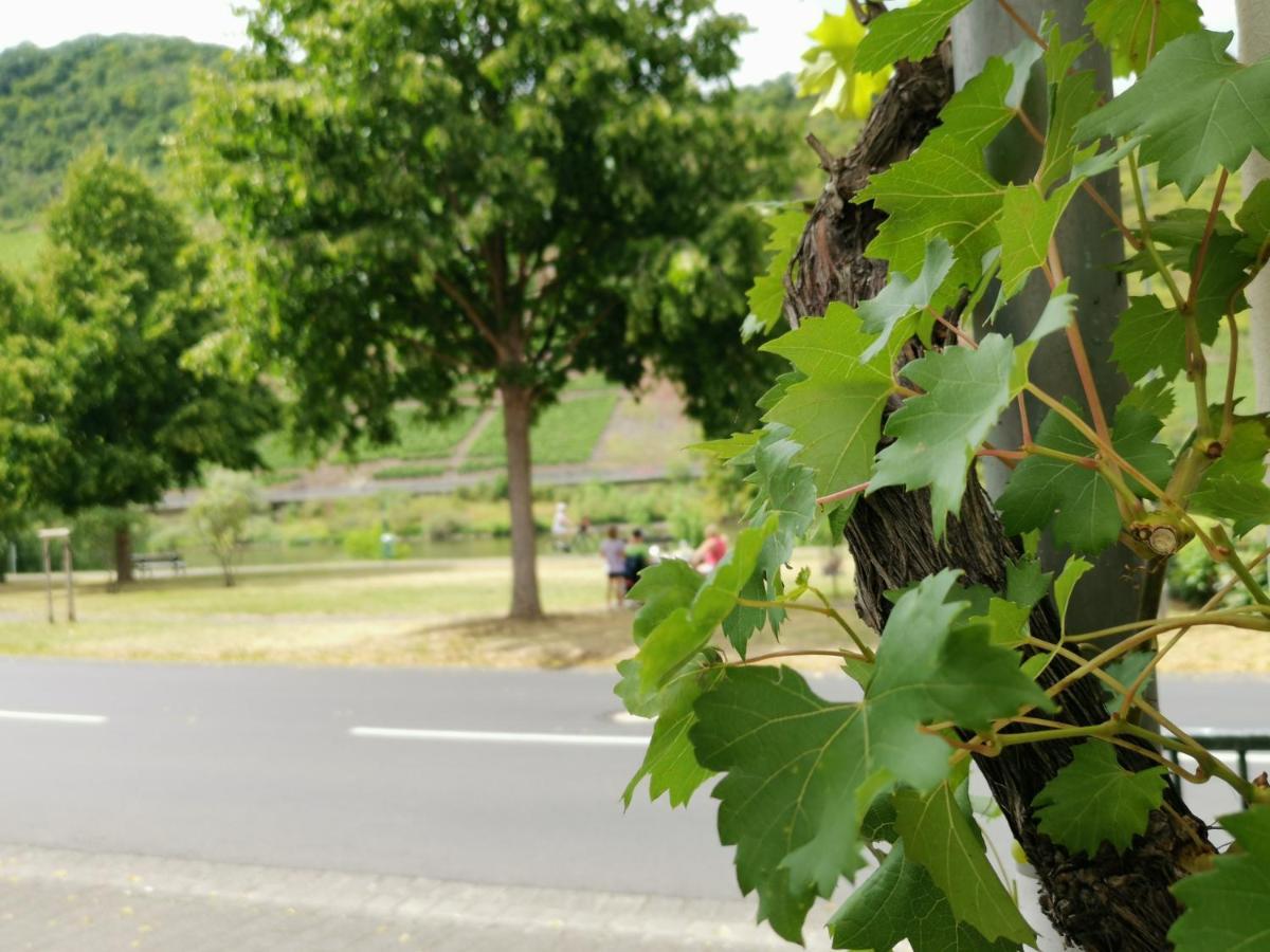 Ferienwohnung Moselblick Bruttig-Fankel Exteriör bild